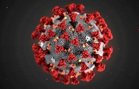 В России создали высокоточный тест для выявления коронавируса SARS-CoV-2 - 1