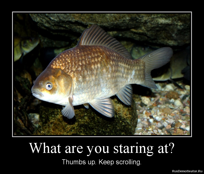 Thanks for pay attention