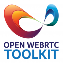 Компьютерное зрение на WebRTC-сервере с аппаратным ускорением от Intel OWT - 2