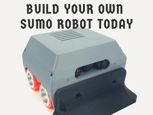 Робо-сумо: интеллектуальные бои роботов - 3