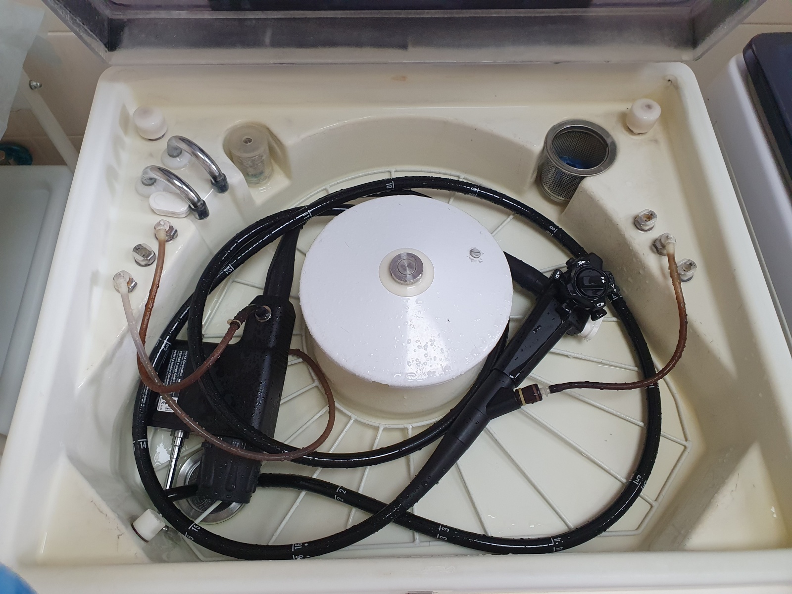 Колоноскопия. О деликатной теме без насмешек - 6 Колоноскопия. О деликатной теме без насмешек - 6