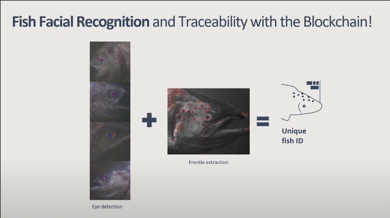 Самая сложная задача в Computer Vision - 19 Самая сложная задача в Computer Vision - 19