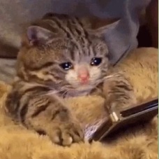 Самая сложная задача в Computer Vision - 27 Самая сложная задача в Computer Vision - 27