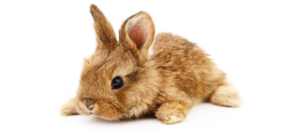 Как клеить по 13 девушек в час, используя машинное обучение и Tinder - 2 image