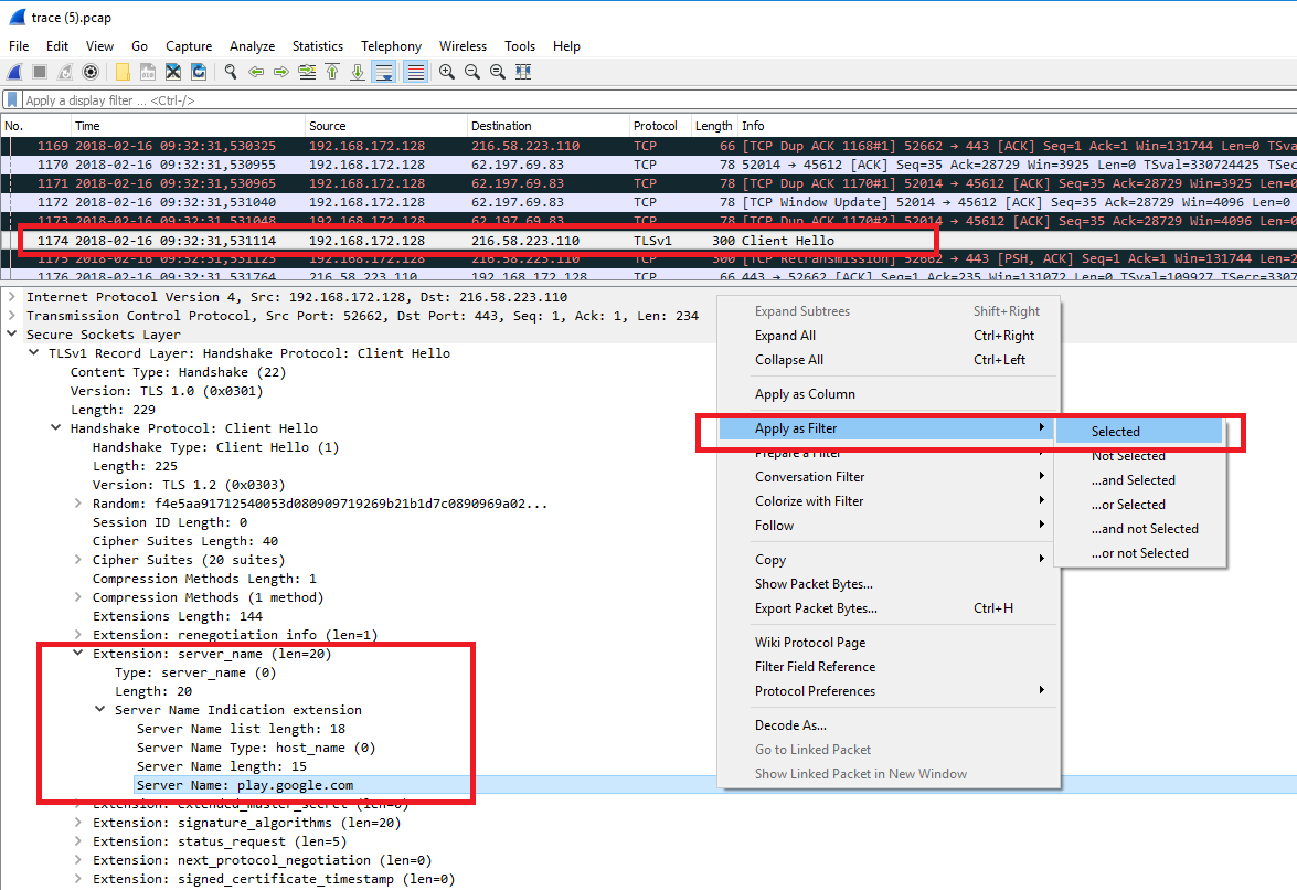 Wireshark, анализ TLS Clientf Hello сегмента