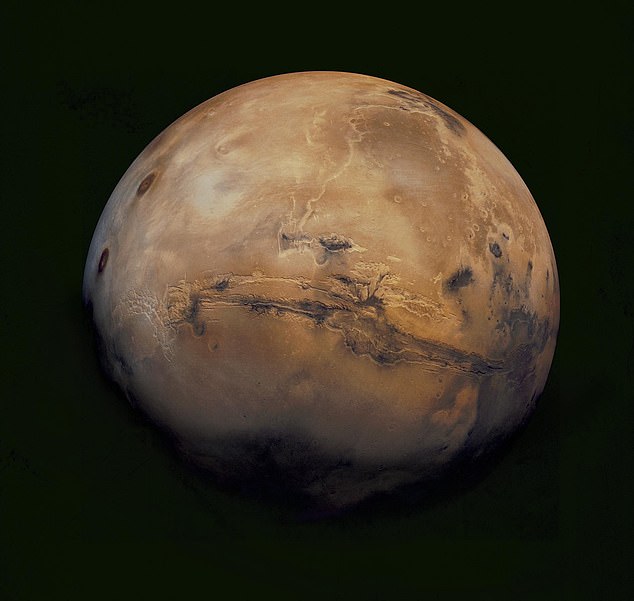 Илон Маск: «Марс — свободная планета, там не действуют законы Земли» - 1