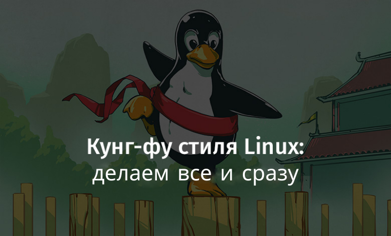 Кунг-фу стиля Linux: делаем все и сразу - 1