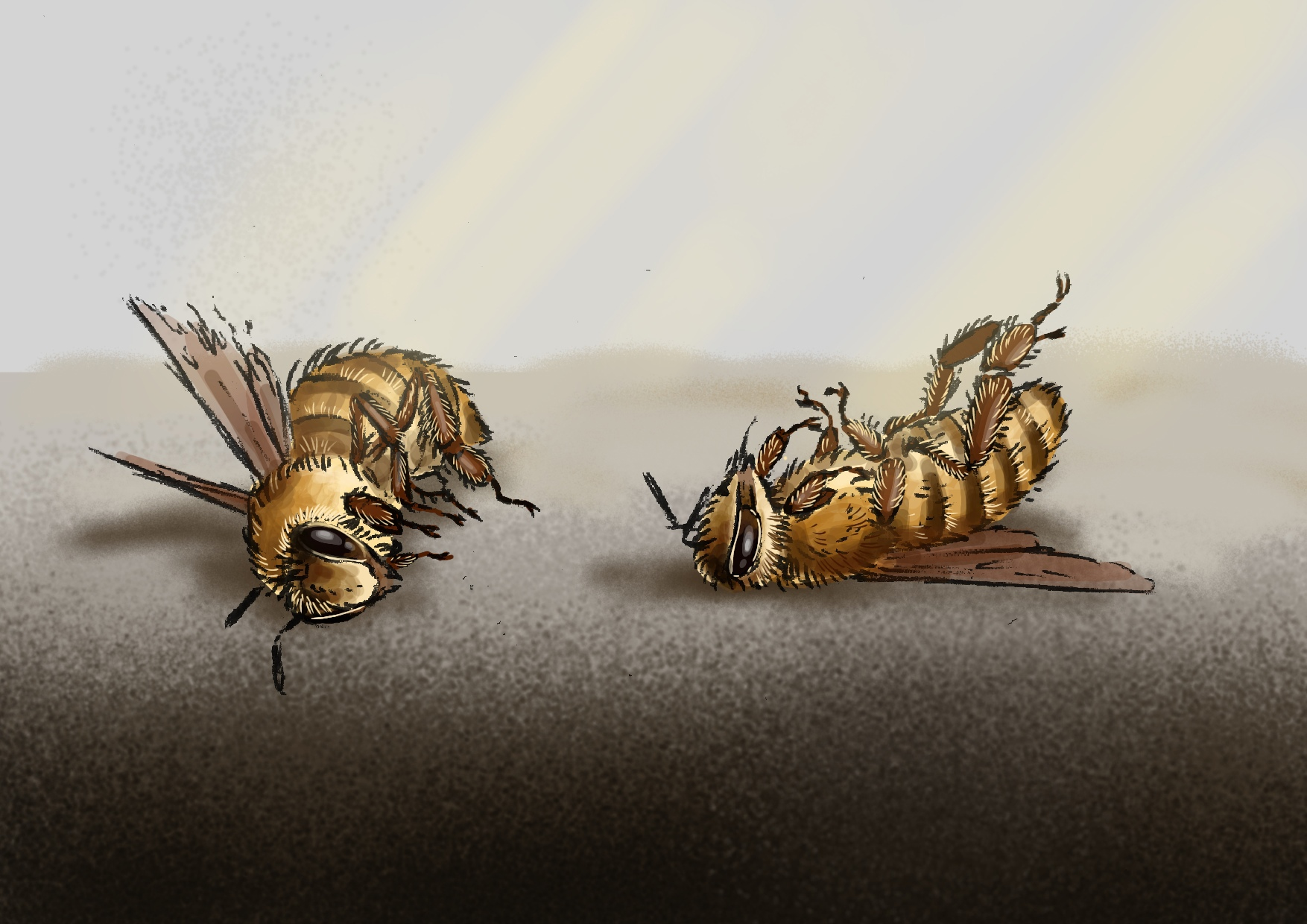 Рисунок нашей художницы Натальи Смирновойотображающий гибель пчёл в улье из данного рассказа