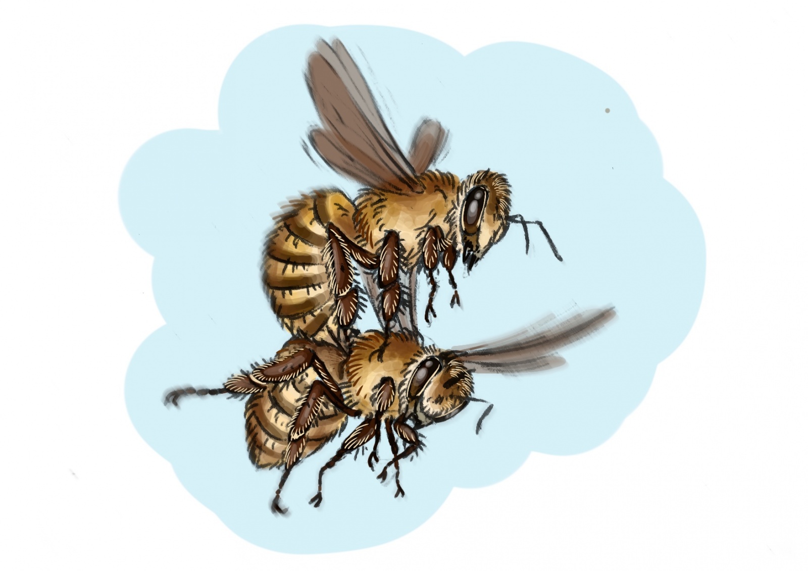 Убийство одной пчелы другой пчелой. Художница Наталья Смирнова. Сообщество «Фанерозой.»