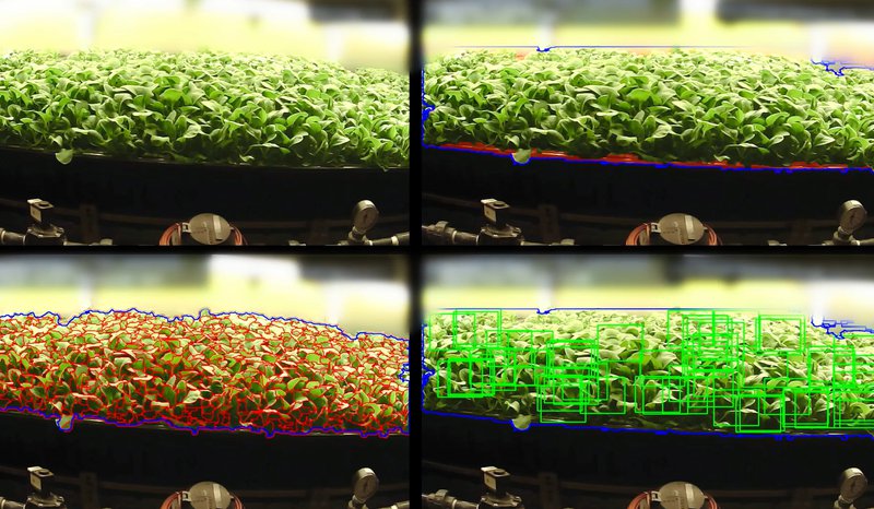 Культивируй это: как высокие технологии помогают выращивать еду на примере трех необычных проектов - 3