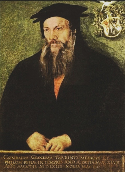 Конрад Геснер 25.03.1516 — 13.12.1565