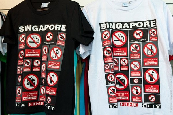 Сингапур — техно-утопия или авторитарный контроль - 2