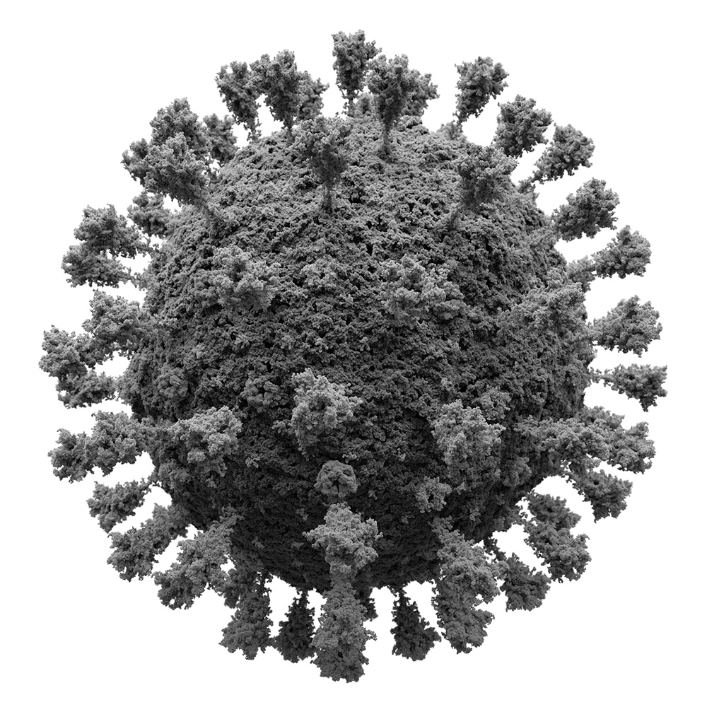 Промежуточная модель коронавируса SARS-COV-2