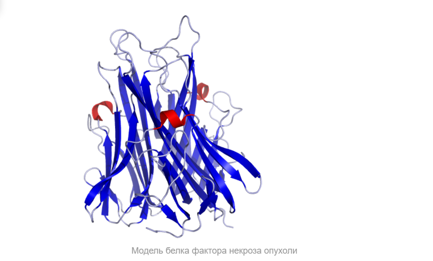 Краткое знакомство с моделированием белков - 5