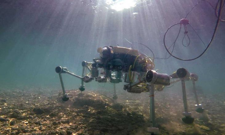 Рыбы-роботы осваивают океан - 2