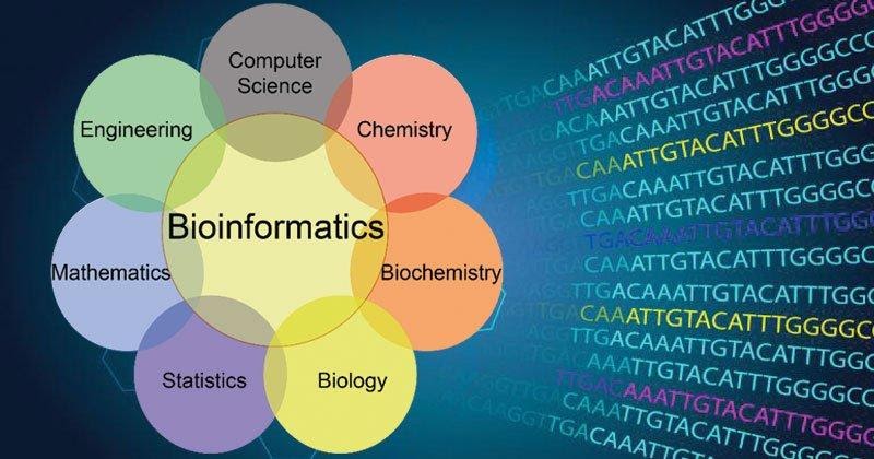 Биоинформатика — это наука или всё же метод? - 2