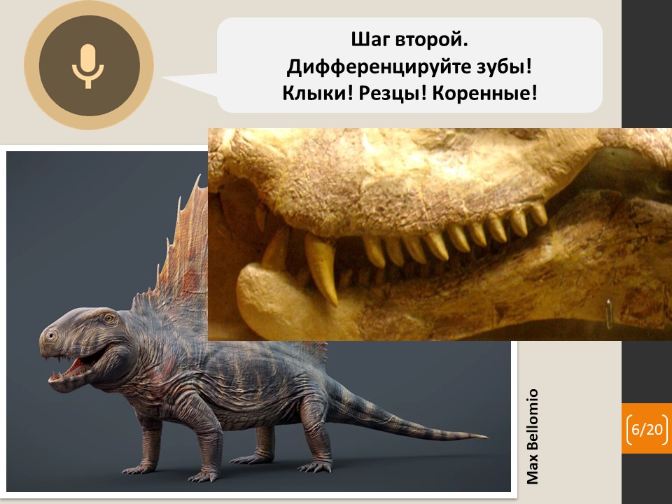 Как звероящеры стали нами? - 11