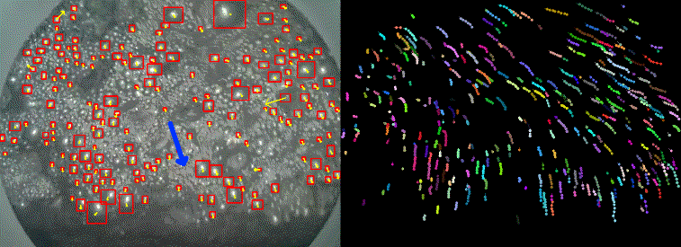 Трекинг без разметки или как следить за тысячами пузырьков на производстве - 12 Трекинг без разметки или как следить за тысячами пузырьков на производстве - 12