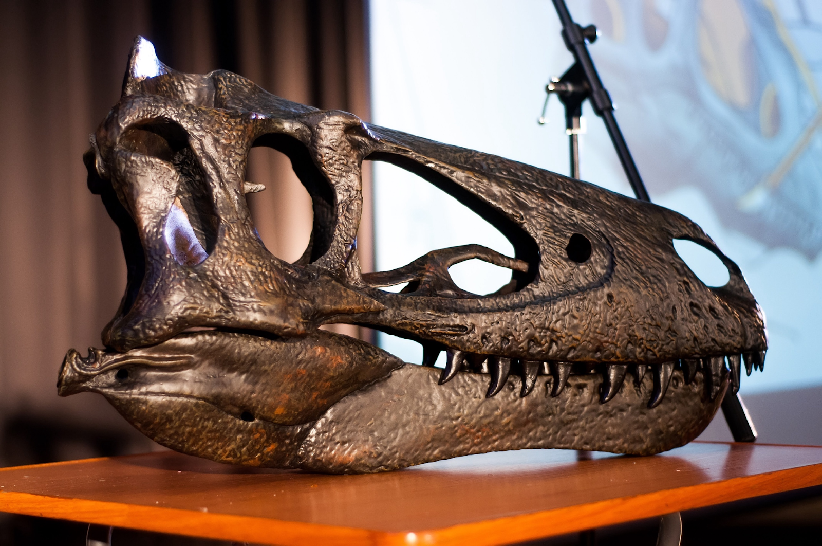 Из 2022 в 2023: айти, куда идти? - 6 Из 2022 в 2023: айти, куда идти? - 6