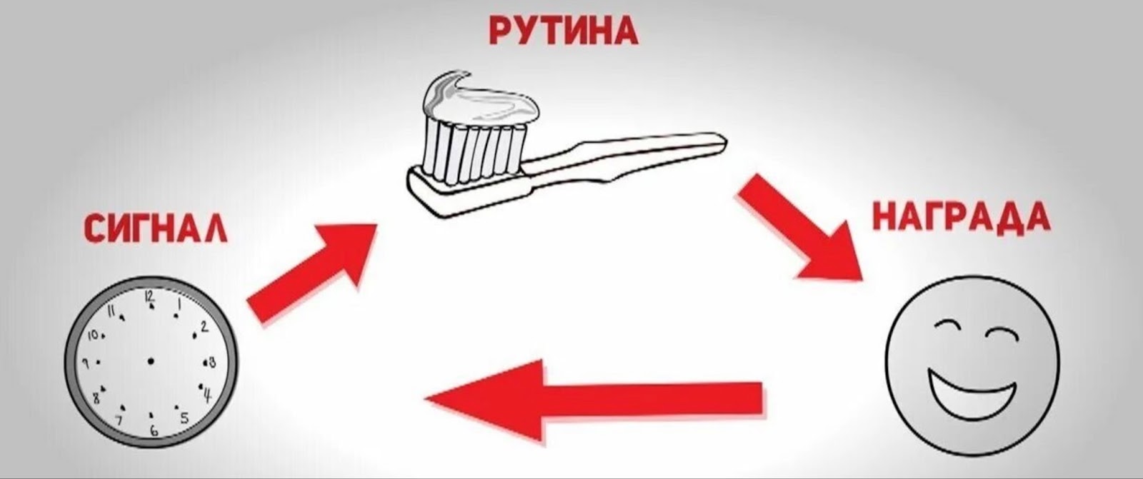 The Habbit Loop — «цикл/петля привычки» 