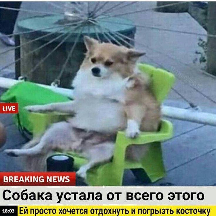 К концу недели я не могла ничего запомнить и вообще ничего не хотела делать.