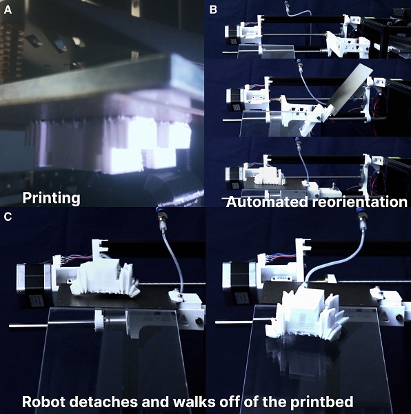 &laquo;Робот уходит с принтера сам&raquo;: учёные создали систему 3D-печати для мягких роботов без электроники