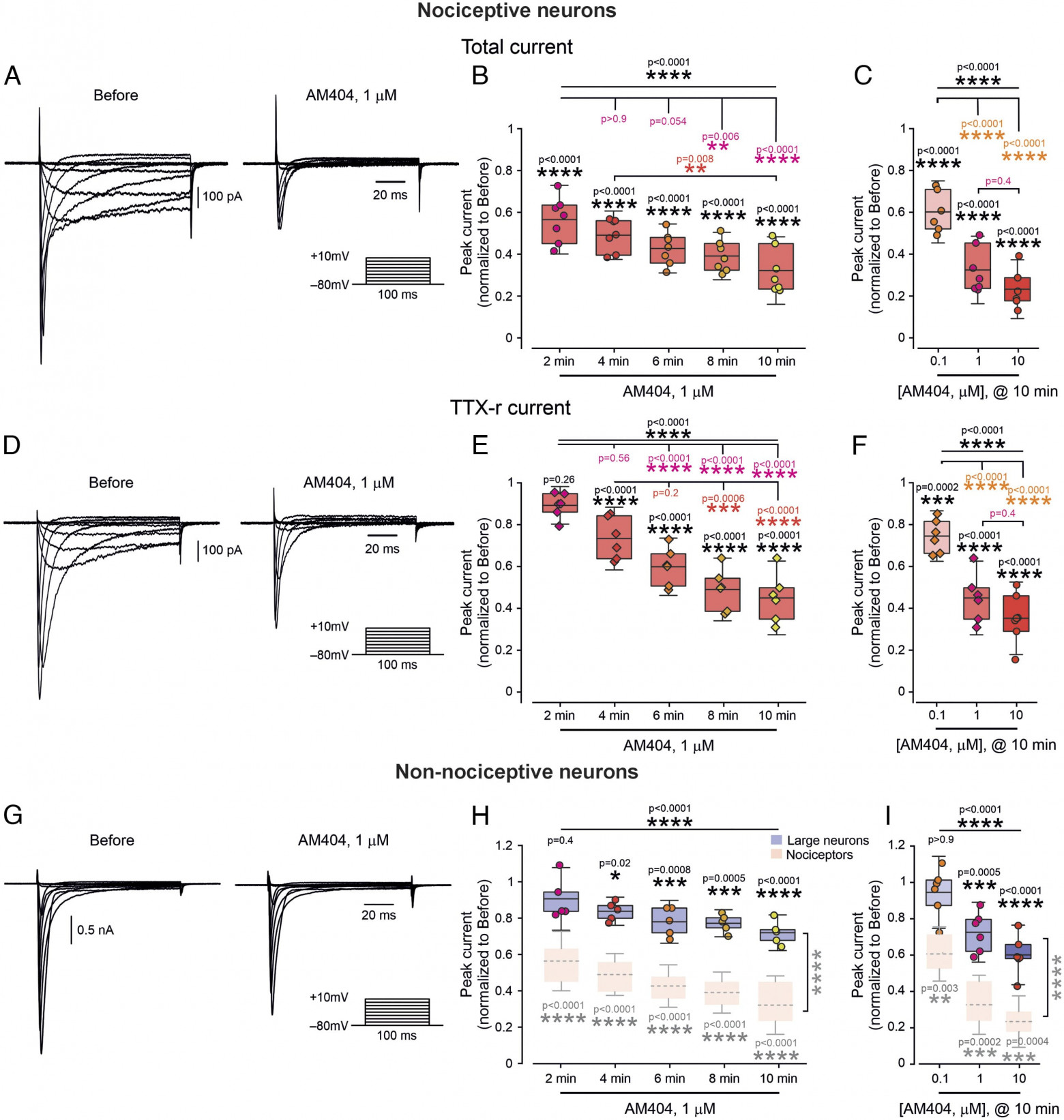 Секрет парацетамола: остановить боль в месте ее зарождения - 4