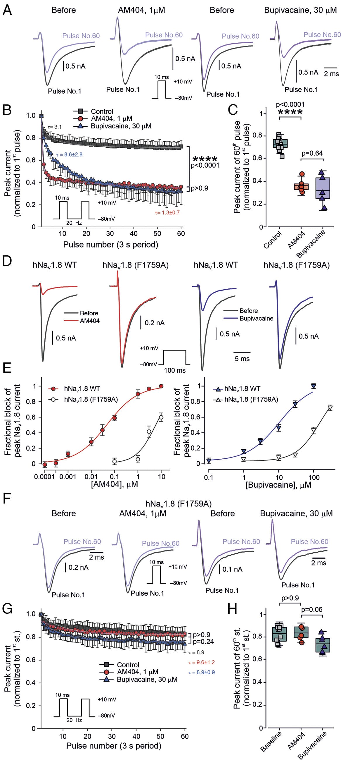 Секрет парацетамола: остановить боль в месте ее зарождения - 6