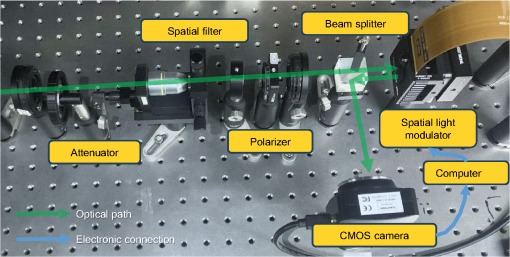 Фотонная нейросеть превзошла цифровые аналоги в точности распознавания - 2 Фотонная нейросеть превзошла цифровые аналоги в точности распознавания