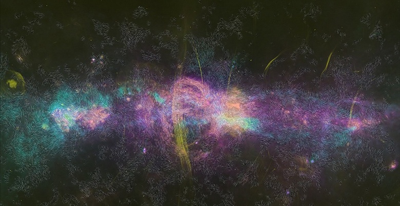 Новая карта магнитных полей раскрыла динамику центрального региона Млечного Пути