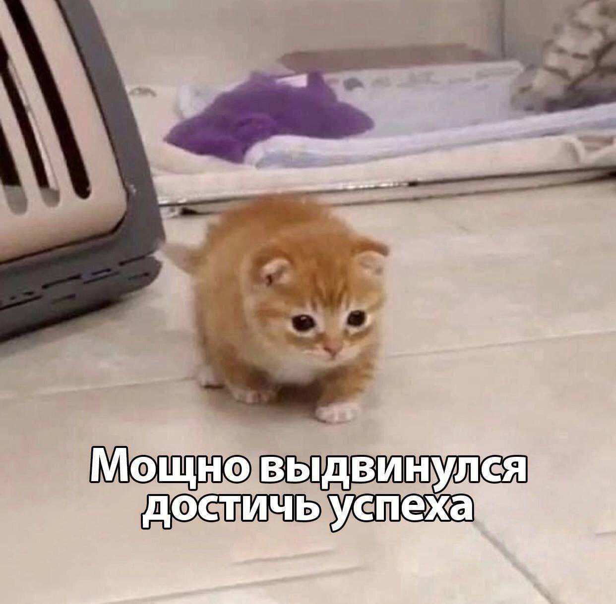 Как я научил Espruino на ESP-32 понимать кириллицу - 7 Как я научил Espruino на ESP-32 понимать кириллицу - 7