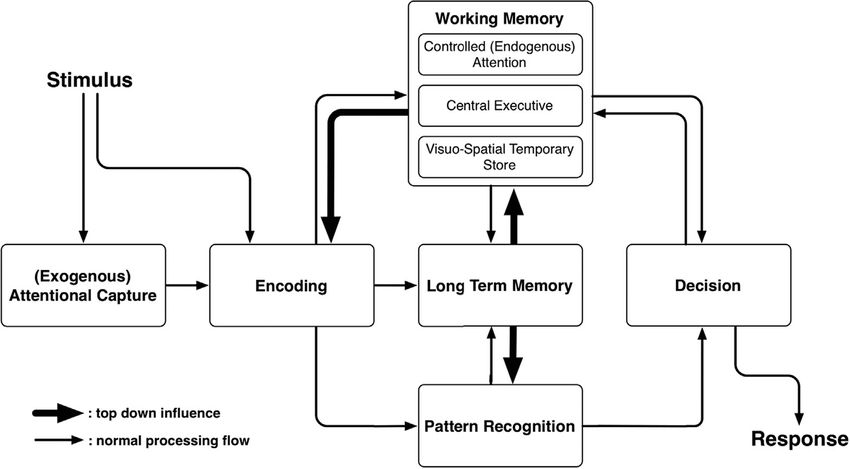 Схема работы человеческого сознания на основе двупроцессной модели рассуждений и принятия решений при визуализации информации. Поток информации слева направо, начиная с воздействия стимула и заканчивая принятием решения. Компоненты конвейера: кодирование, рабочая память, распознавание образов, долговременная память и принятие решений, источник