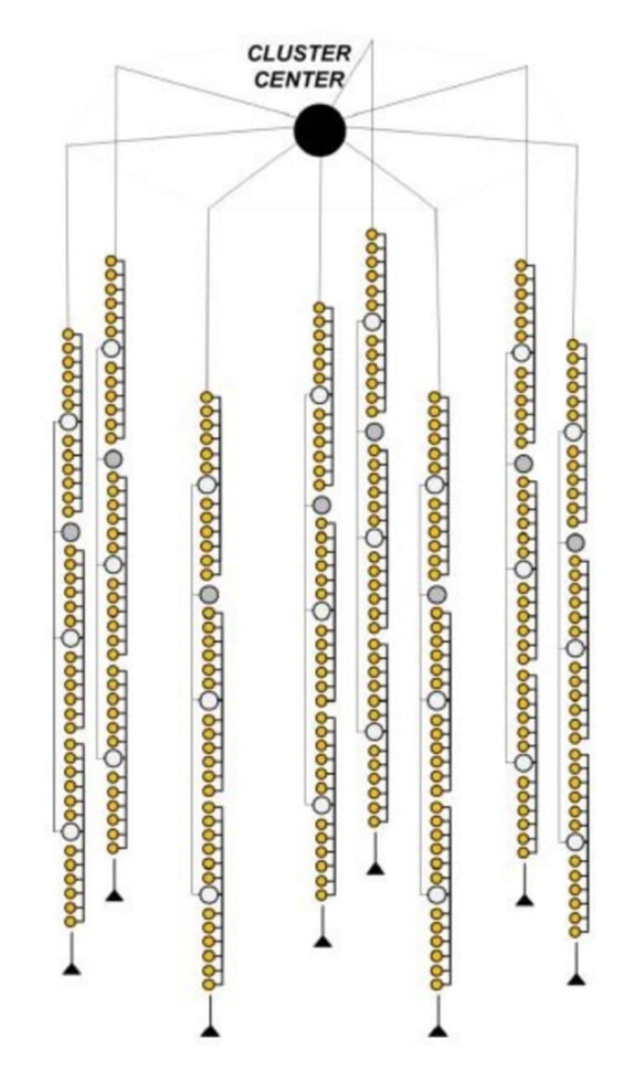 Под чёрным льдом Байкала - 9 Под черным льдом Байкала, изображение №9