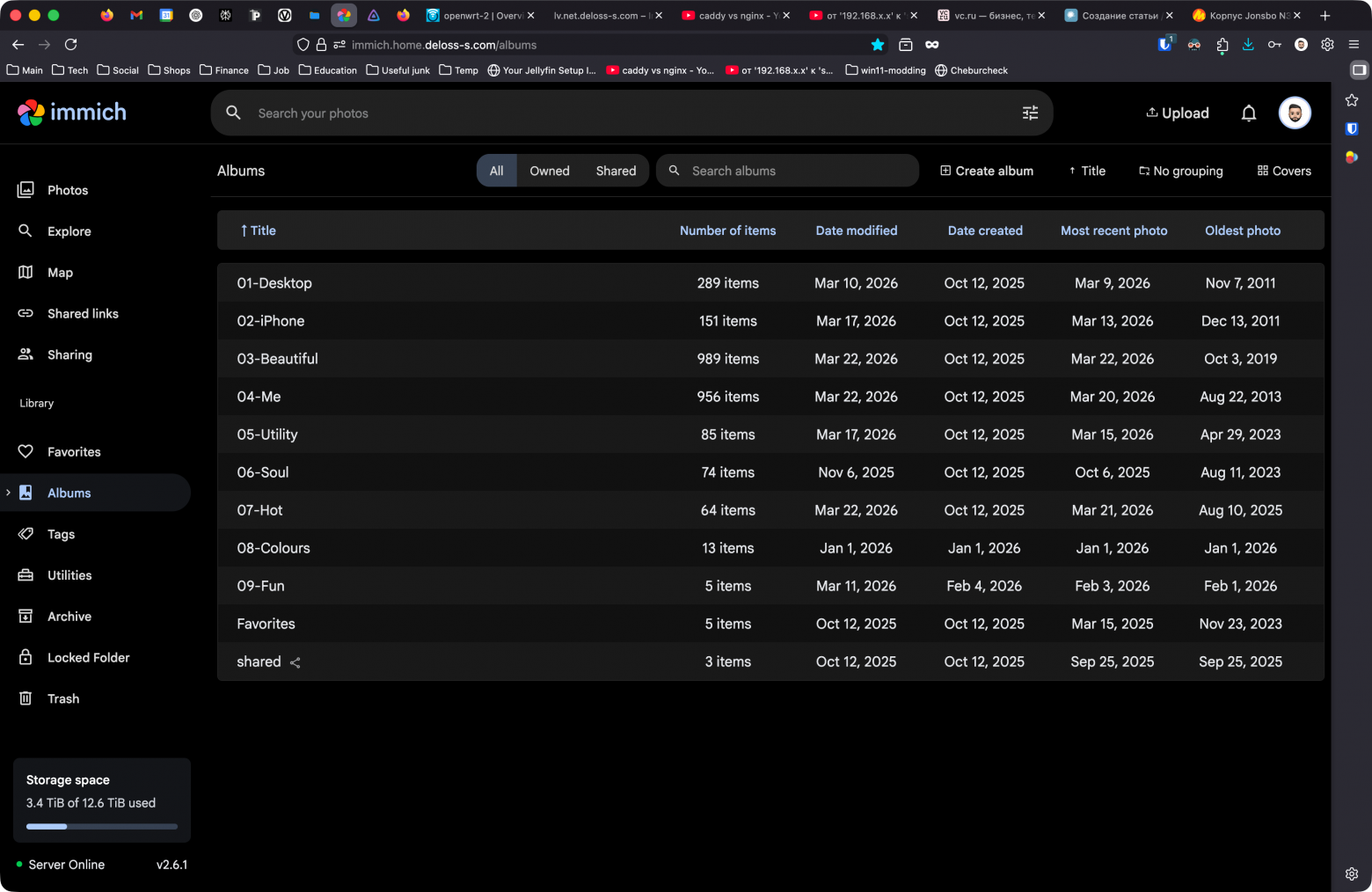 immich - фото и видео