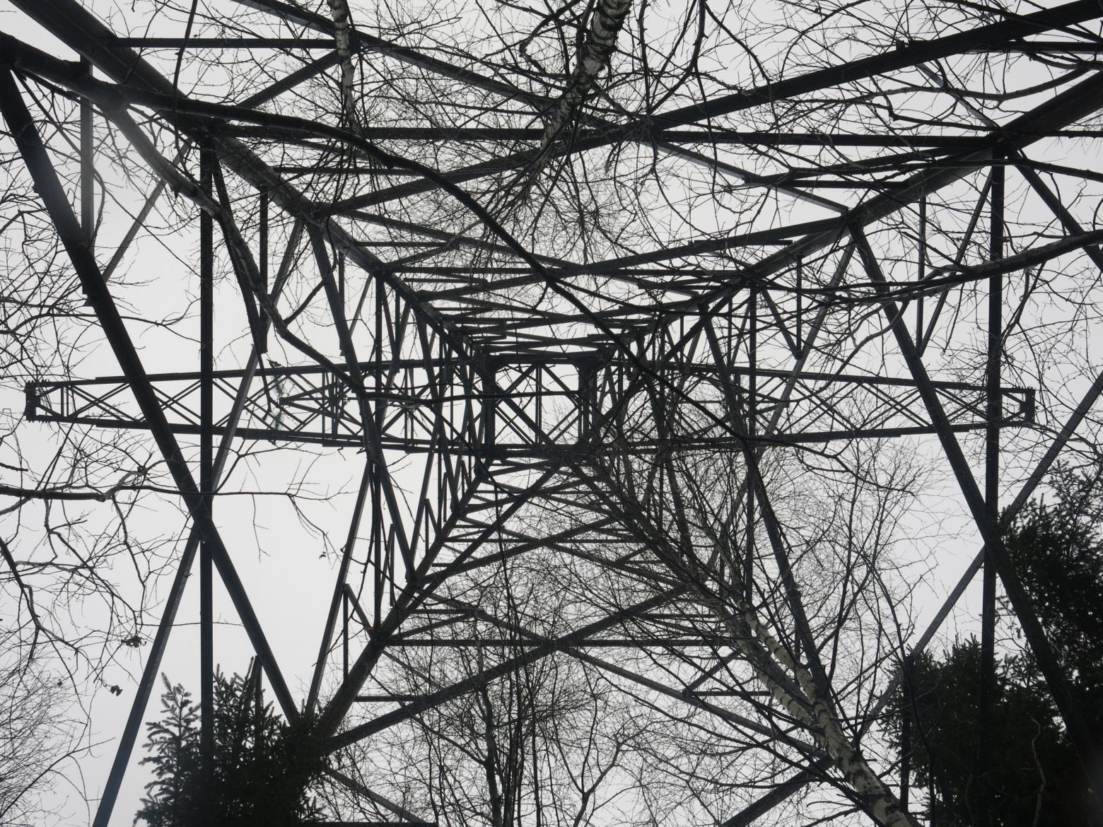 Белый раст. Сердце Московского энергетического кольца - 5