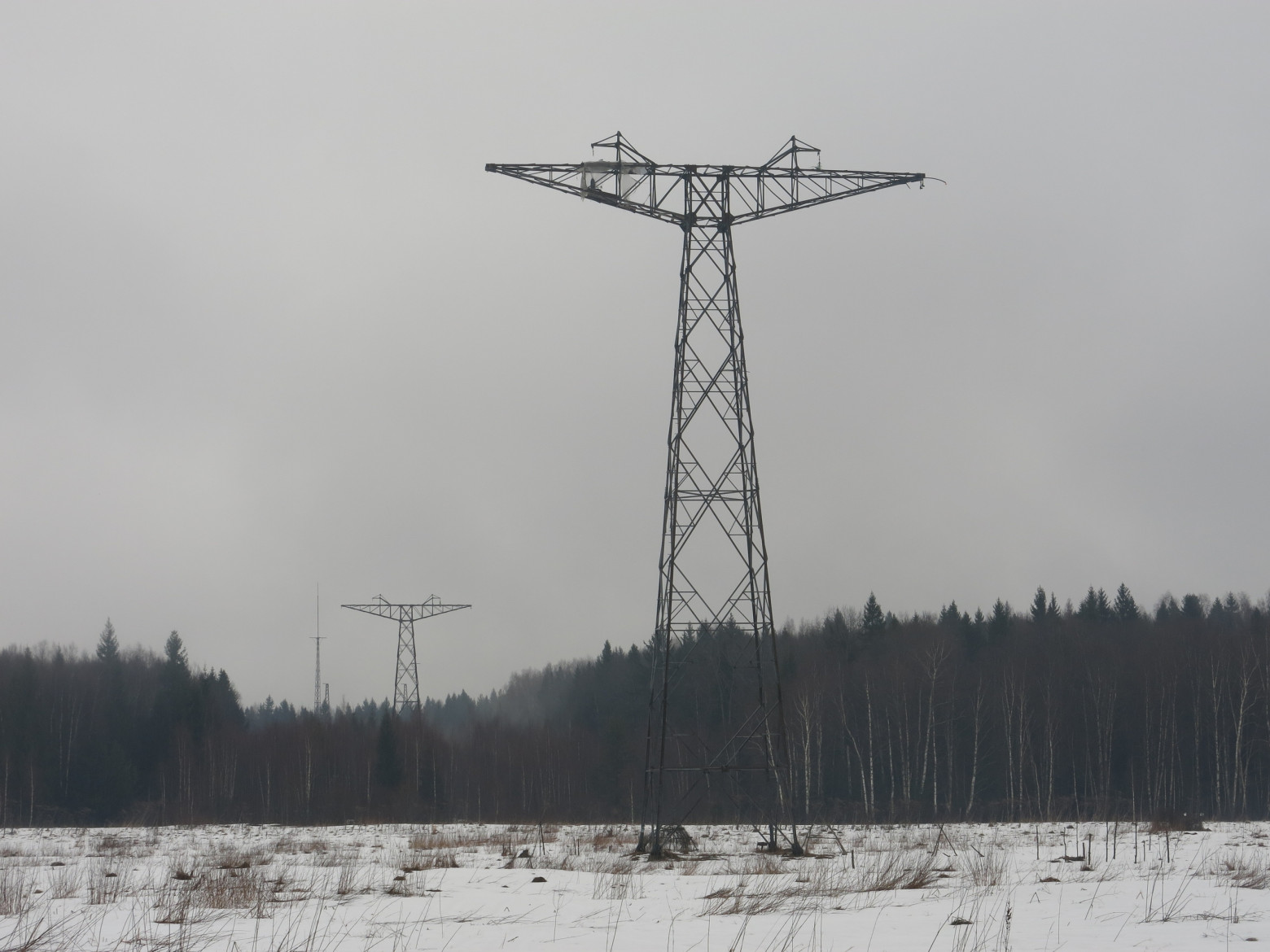 Белый раст. Сердце Московского энергетического кольца - 6