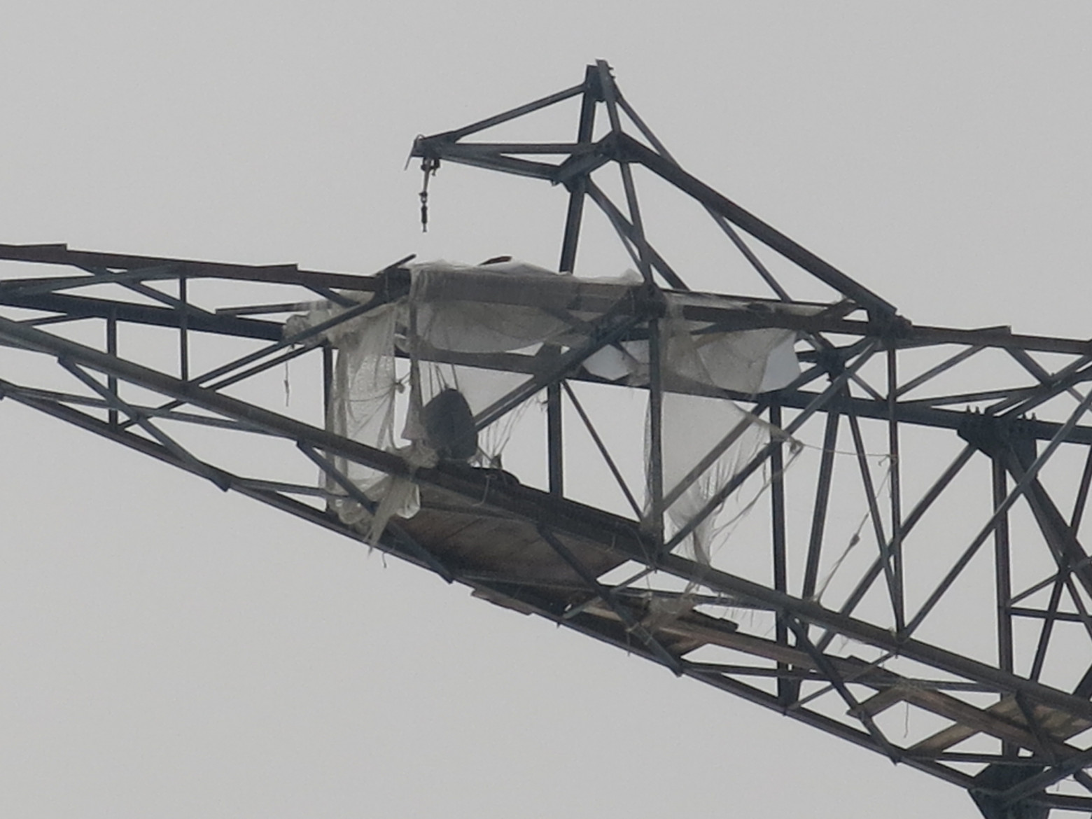 Белый раст. Сердце Московского энергетического кольца - 7