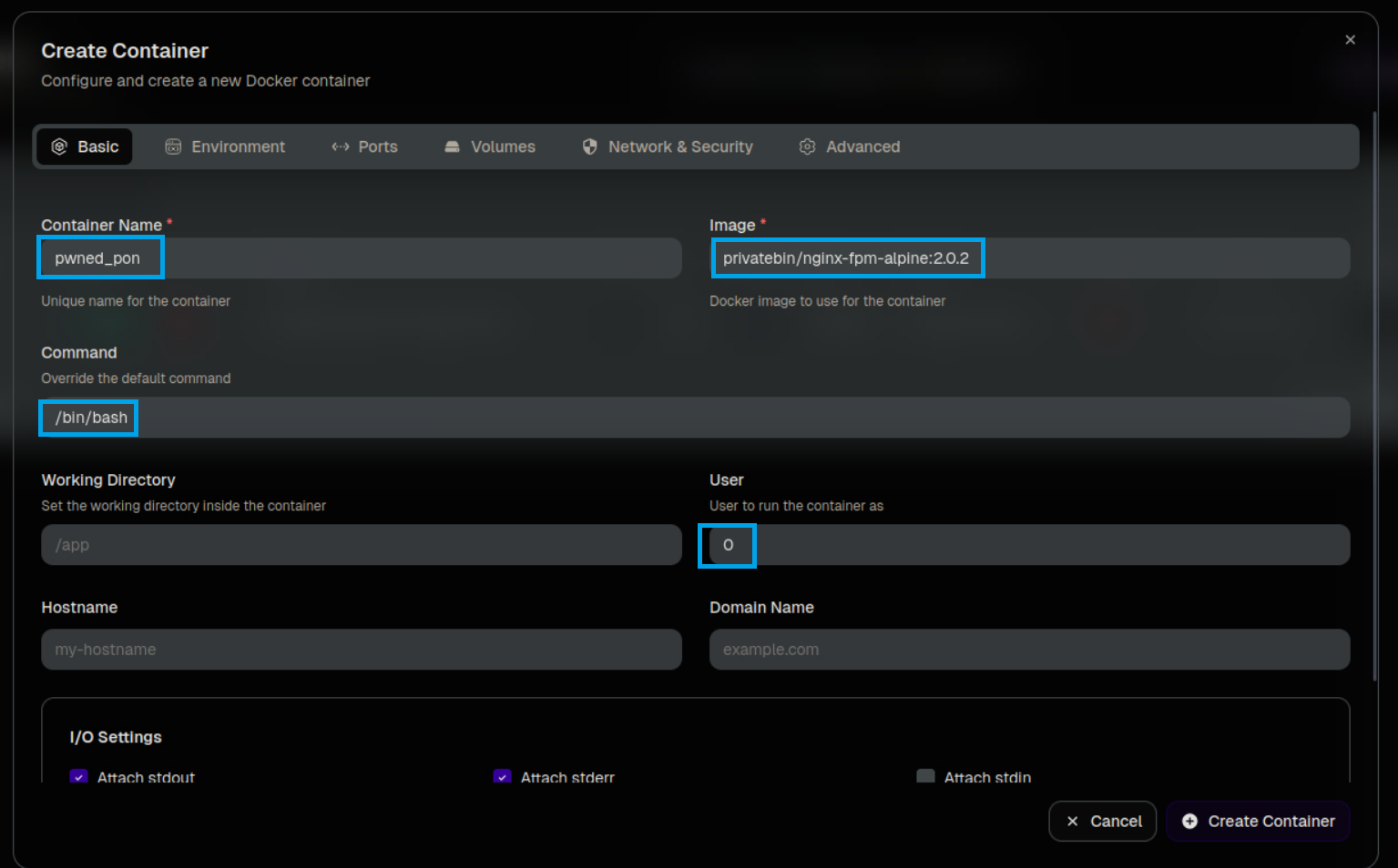 Basic tab - образ privatebin, command /bin/bash, user 0 (root)