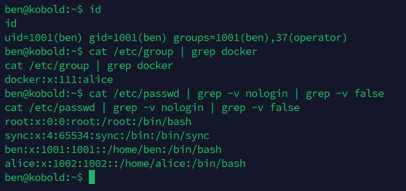 ben в группе operator, alice в группе docker. Два пользователя с shell - ben и alice