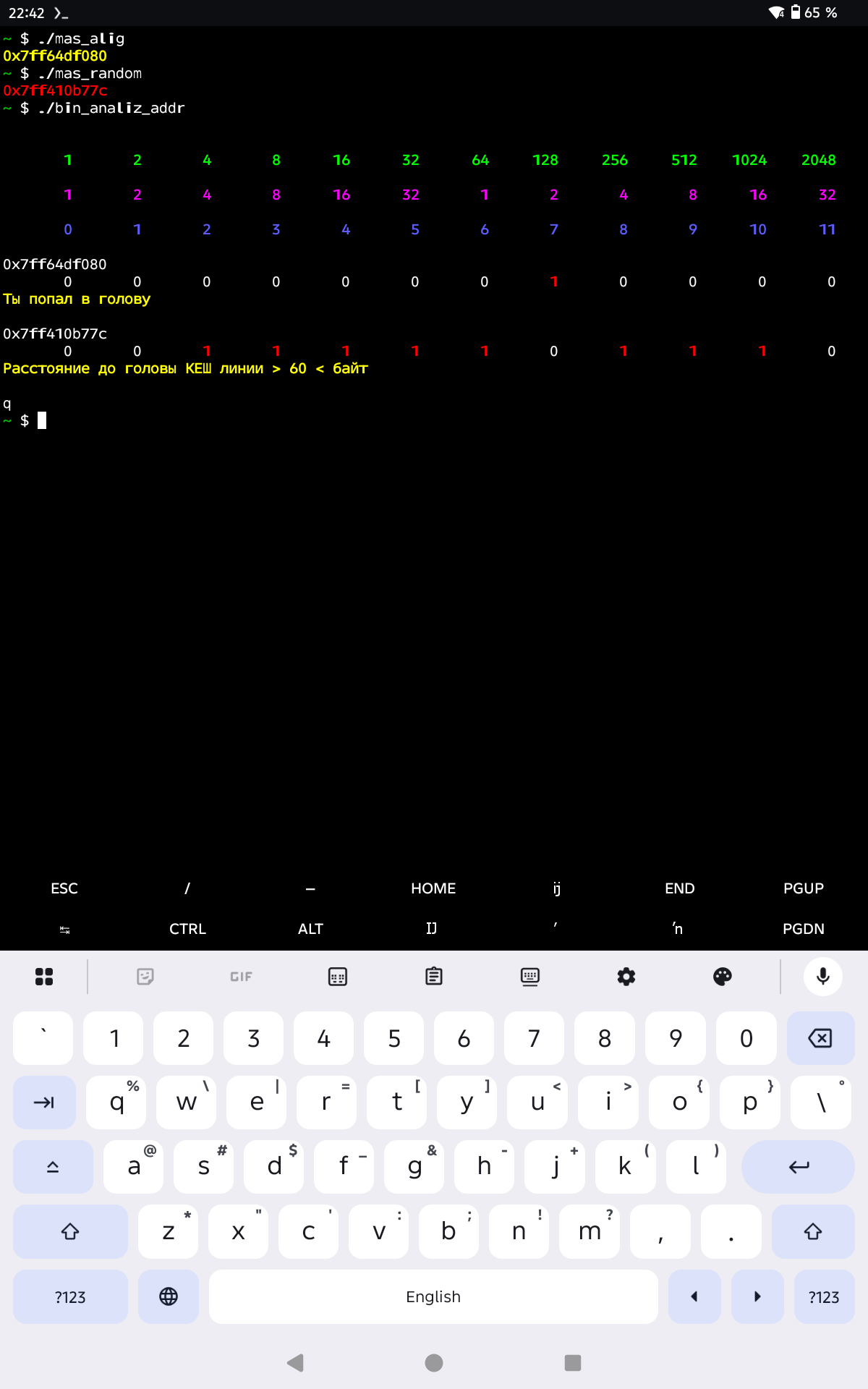 Визуализатор структуры адреса на Си для Linux и Termux: Попасть в «Голову» кеш-линии - 5 Визуализатор структуры адреса на Си для Linux и Termux: Попасть в «Голову» кеш-линии - 5