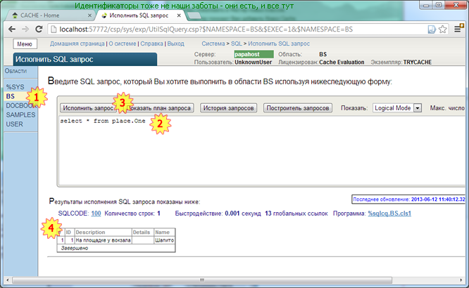 Backstreet Access To Intersystems Cache