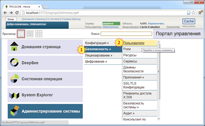 Backstreet Access To Intersystems Cache