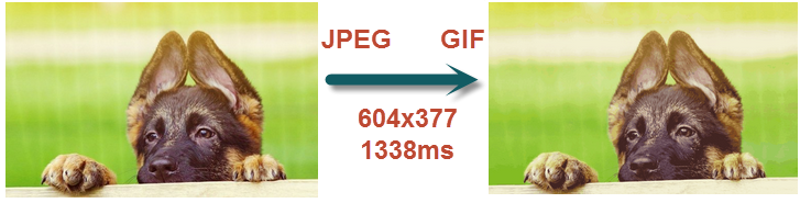 Canvas в GIF на Javascript