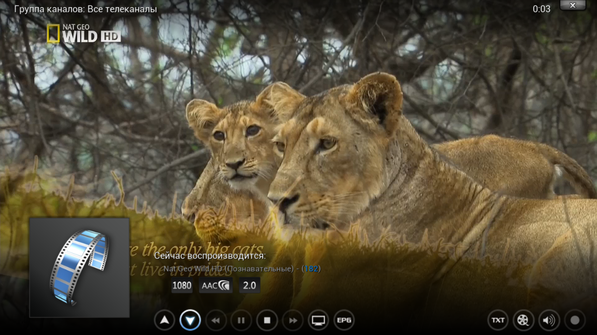 Raspberry Pi — HD медиаплеер Raspberry Pi — HD медиаплеер