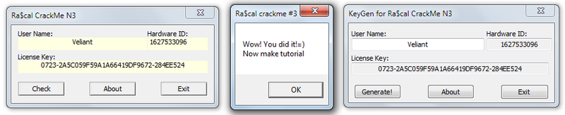Анализ keygenme от Ra$cal на базе виртуальной машины Анализ keygenme от Ra$cal на базе виртуальной машины