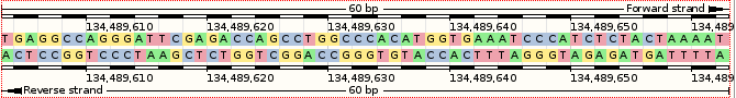 Браузеры генома