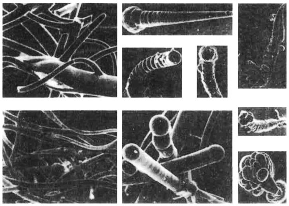 Жизни нет, населена роботами image