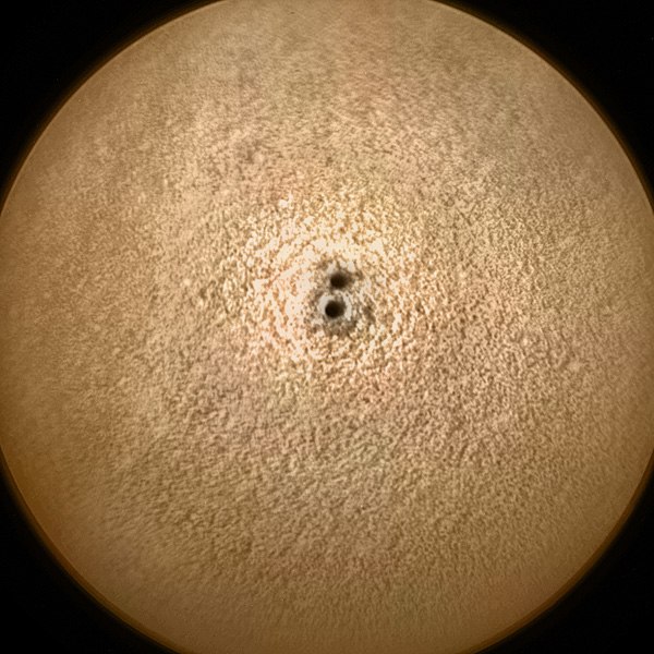 Жизни нет, населена роботами image