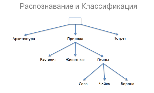 Компьютерное зрение. Лекция для Малого ШАДа Яндекса image