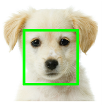 Компьютерное зрение помогает искать потерявшихся собак